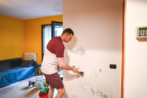 Heber Overgaard, AZ Mold Removal Company